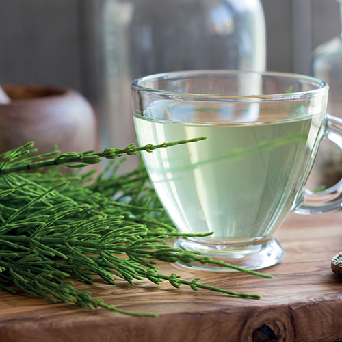 L'intérêt de la tisane à l'ortie en cas de ménopause